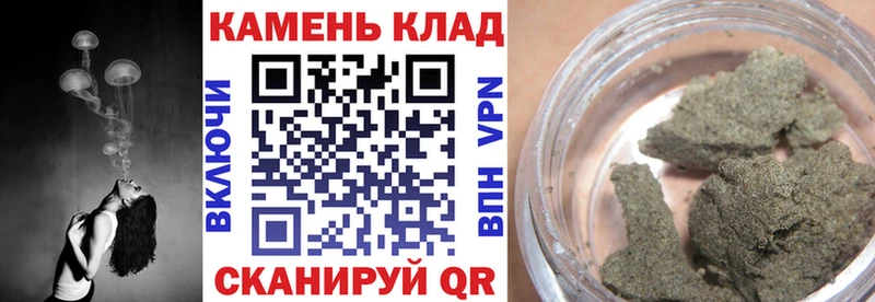 где купить наркотик  Анива  OMG сайт  Гашиш индика сатива 