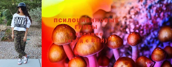 молекула духа Сосновый Бор
