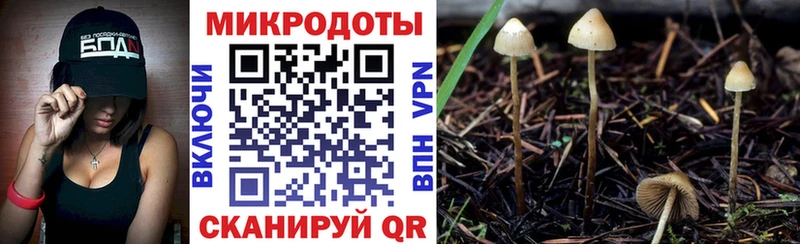 Псилоцибиновые грибы Psilocybine cubensis  купить закладку  Анива 