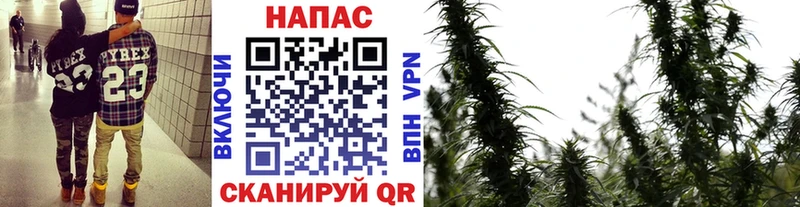 Шишки марихуана Ganja  Анива 
